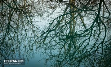 گذرگاه های پاییزی پایتخت - منطقه 5