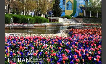 طبیعت بهاری بوستان پلیس  12