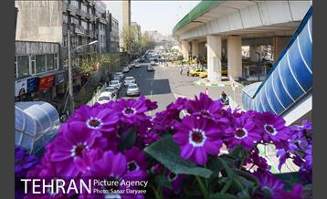 گل آرایی پل سیدخندان 19