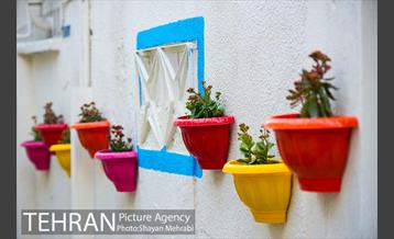 کوچه امیدی رنگ نوروز گرفت 22