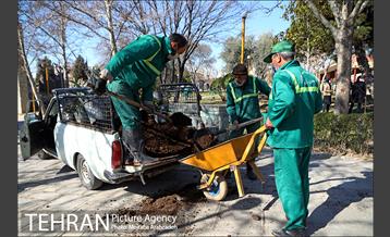 آیین درختکاری دوچرخه سواران تهران 1