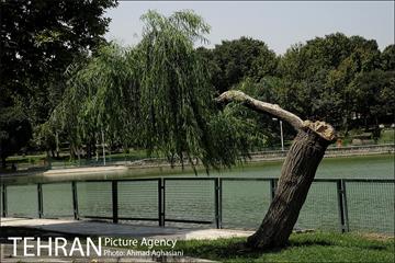 نگاهی به منطقه 16 شهرداری تهران 5