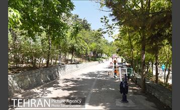 بوستان بهشت مادران 7