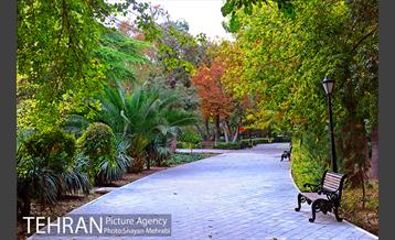 پاییز پارک شهر 5