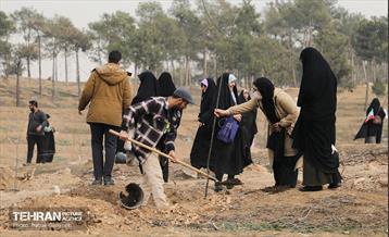 غرس ۲۷۸۲ نهال در سرخه‌حصار به یاد درگذشتگان جامعه پزشکی 2