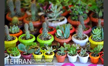 نمایشگاه بین المللی گل و گیاه 9