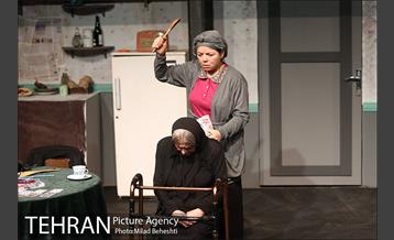 نمایش اثر پرتوهای گاما بر گل های همیشه بهار 15