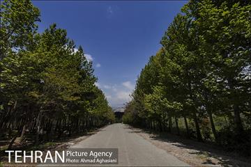 بوستان جنگلی سرخه حصار 14