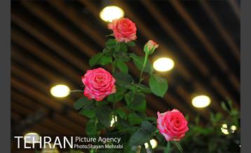 نمایشگاه بین المللی گل و گیاه 20