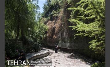 بوستان نهج البلاغه 1