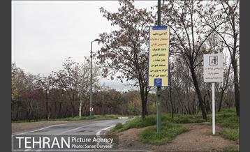 تعطیلی بوستان جنگلی سرخه حصار به منظور پیشگیری از شیوع ویروس کرونا 18