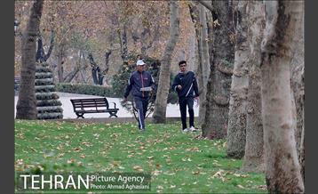 مسابقه پیاده روی و جهت یابی در پارک ملت 24