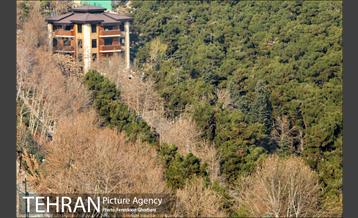 روزهای آفتابی زمستان 18