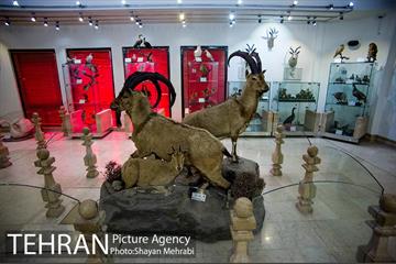 موزه طبیعت و حیات وحش دارآباد تهران 3