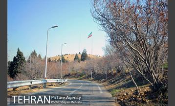 پارک جنگلی سرخه حصار 6