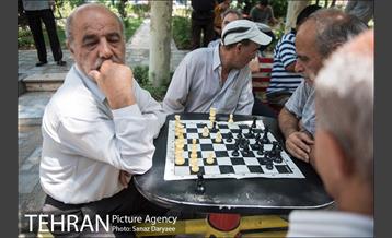 ظهر گرم تابستان 19