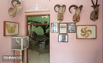 افتتاح اولین سامانه هوشمندسازی موزه‌ها ویژه نابینایان 4