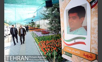 پیاده راه لاله مادران 20