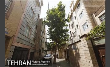 محله مینابی 31