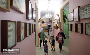 افتتاح اولین سامانه هوشمندسازی موزه‌ها ویژه نابینایان 5