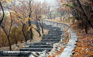 یک روز پاییزی در منطقه 22 12