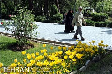 لاله های بهاری پارک شهر 22