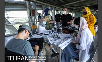 عصرانه کارتون پل طبیعت 21