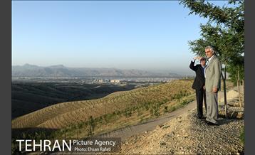 بازدید شهردار تهران از طرح‌های جنگل کاری شمال تهران  1