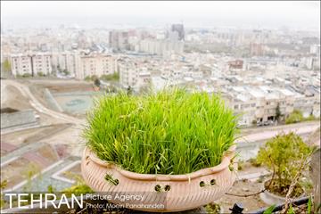 روز طبیعت بارانی در بوستان پرواز 6