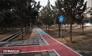 بازدید نخبگان منطقه ۵ از پروژه‌های عمرانی 55