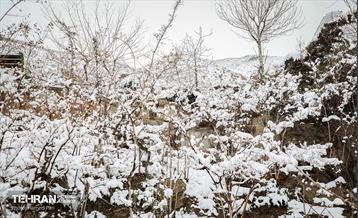 روز برفی در آبشار تهران 21