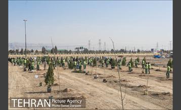آیین کاشت "درخت ایثار" 35