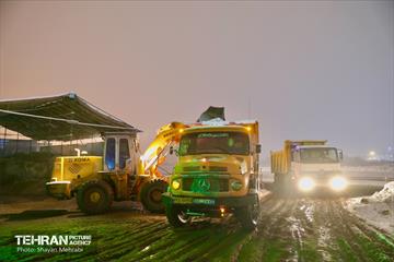 بارش برف زمستانی در معابر شمالی پایتخت - 1 41