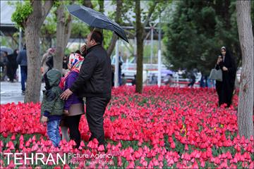 جشنواره لاله‌ها در بوستان زندگی محله هرندی 11
