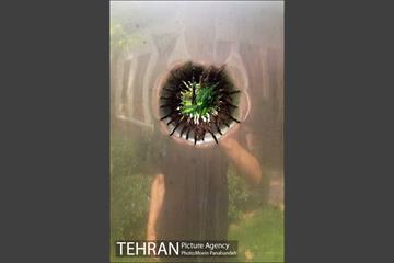 باغ موزه هنر ایرانی‎ 14