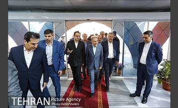 آیین کاشت درخت صلح و دوستی 4