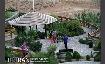 عصر تابستانی در بوستان آبشار تهران 7