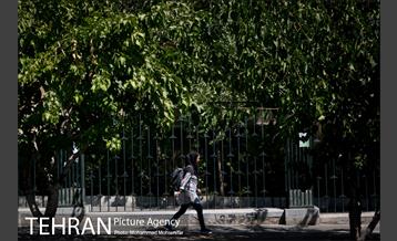 شهرنگار؛ خیابان ۱۶ آذر 13