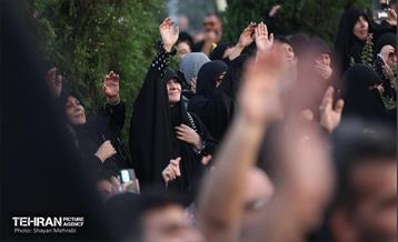 اجتماع امام حسنی‌ها(ع) 7