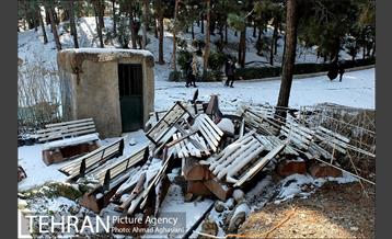 پاییز برفی پارک ملت 4