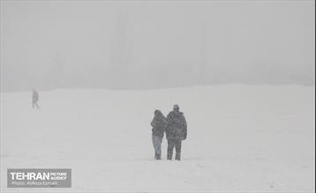 روز برفی پایتخت 10