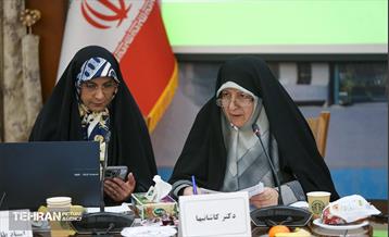 نشست تخصصی آشنایی با مکتب بانو امین 18