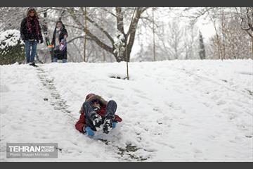 بارش برف در تهران 30
