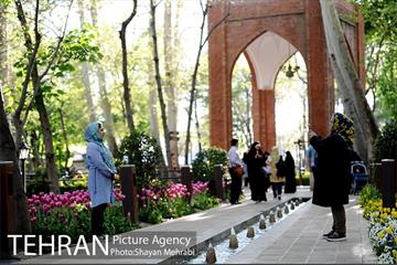 رویش گل های لاله در باغ ایرانی 16
