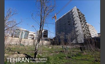 باز آفرینی باغ عبقری منطقه ۲ 3