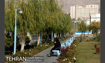 بوستان ارغوان مخصوص معلولین 3