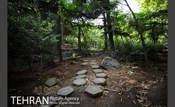 بوستان جمشیدیه 3