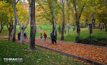 سمفونی رنگ های پاییزی - پارک ملت 10