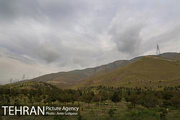وردیج ، دنیایی از زیبایی 1