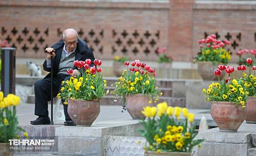 تور عکاسی از باغ ایرانی 29